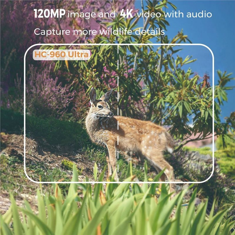 FEDI-Waterdichte 120MP 4G Outd - Hunting Outdoor Camera recensie en prijs