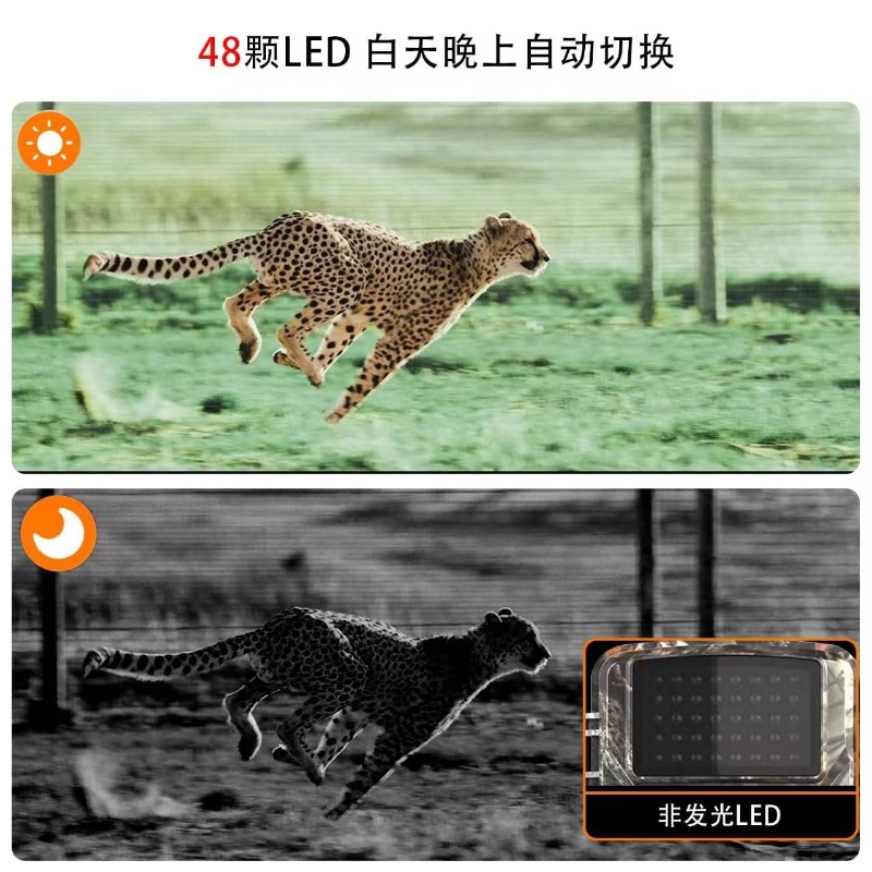 HOT SALE DL001 Jachtcamera Die - Outdoor Hunting Video Camera recensie en prijs