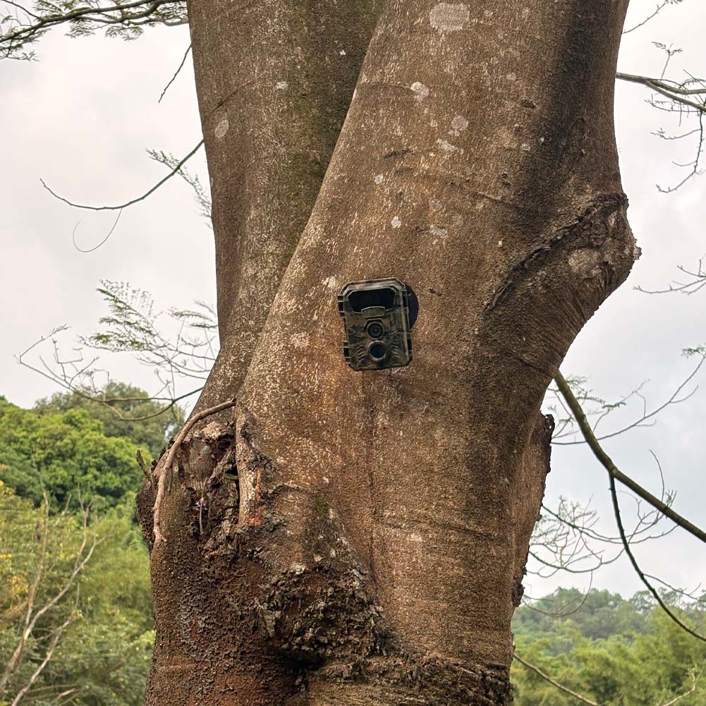 Jacht Trail Camera 16MP 1080P  - Outdoor Hunting Video Camera recensie en prijs