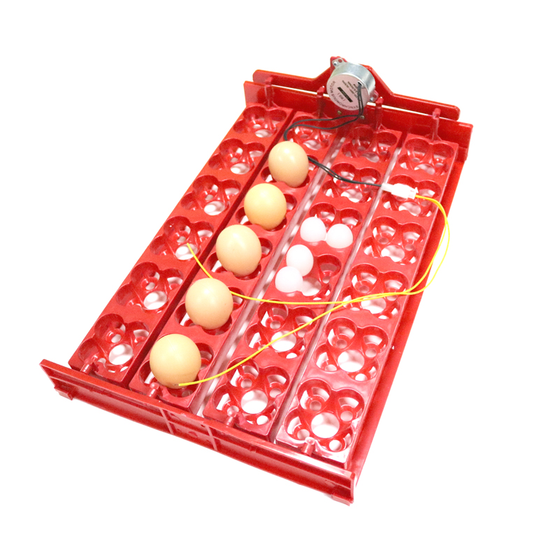 24 Eieren/96 Kwarteleitjes Uit - Hunting Quail recensie en prijs