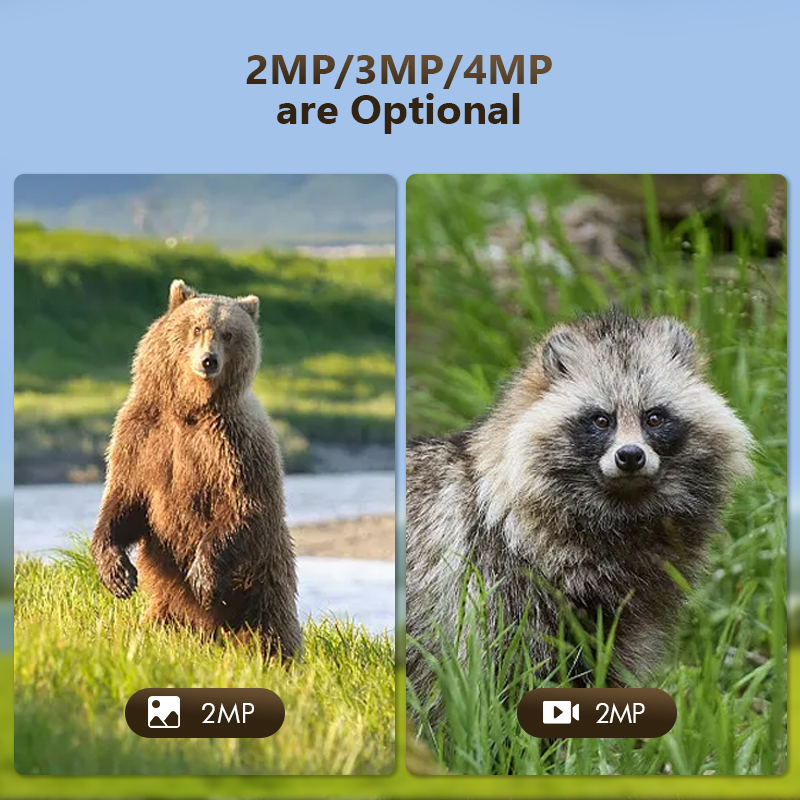 4G 4mp Outdoor Wildlife Jacht  - Hunting Outdoor Camera recensie en prijs