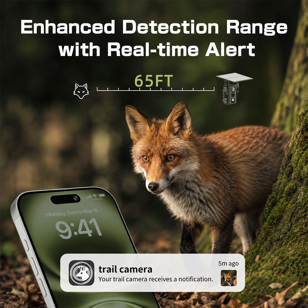 EU 4G Mobiele 2K Batterij Sola - Outdoor Hunting Video Camera recensie en prijs