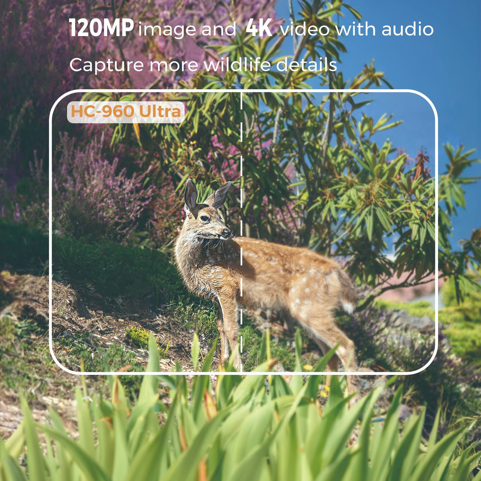 4G outdoor wildlife infrarood  - Hunting Outdoor Camera recensie en prijs